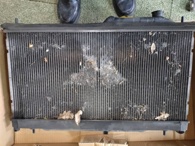 Old Radiator front