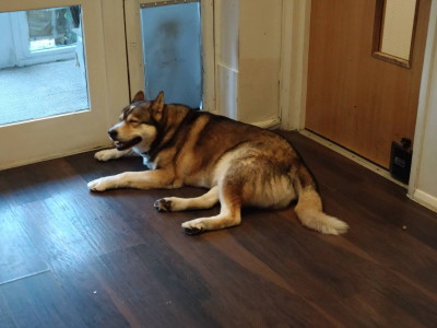 Our hotel guard