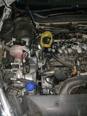 engine bay , cover off.jpg