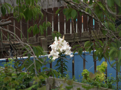 AA241368.JPG