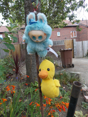 DSCN0001 (another copy).JPG