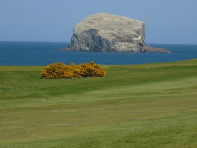 bass rock n berwick