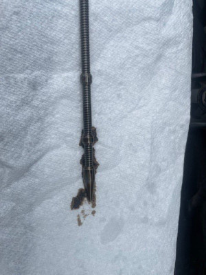 dipstick.jpg