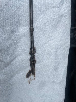dipstick.jpg