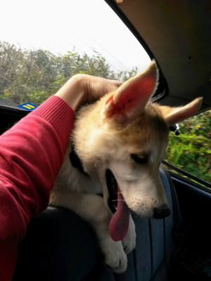 20140918_161039.jpg