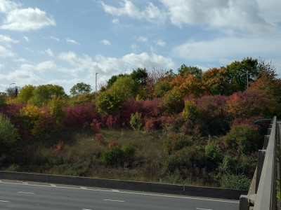 MTMO from the bridge over the M25 at South Mimms