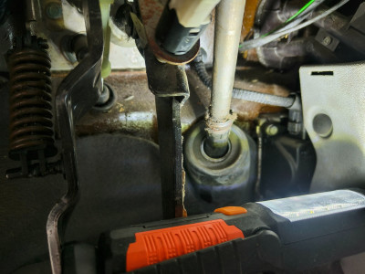 IMG20251004155517.jpg