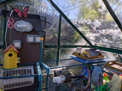 The greenhouse