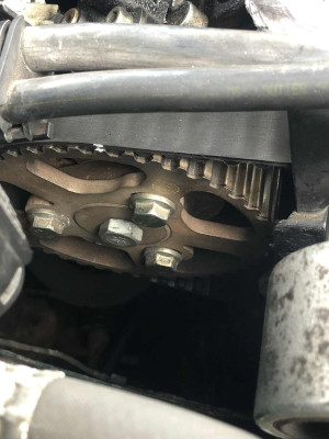 Skull's - belt and cam marked