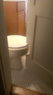 clear the loo.png