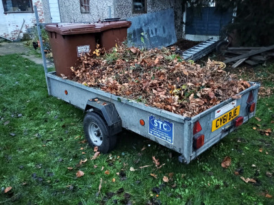 Mobile hedge