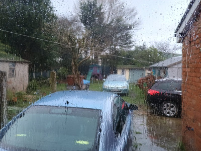 IMG_20251123_092443618_HDR.jpg