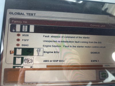 Showing Fault Codes for the BSI