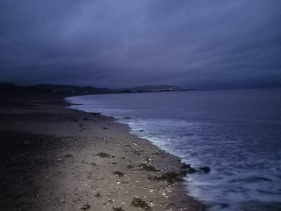 20251209_072427.jpg