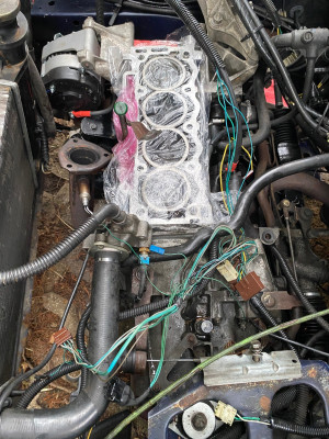 IMG_0433.jpeg