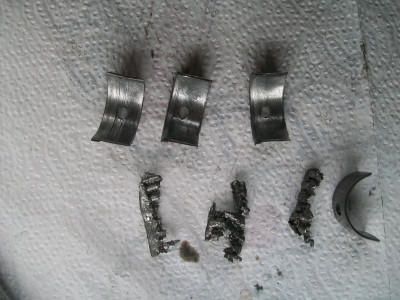 100_8100.JPG