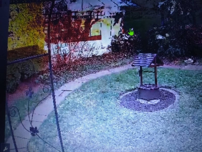 Captured by my CCTV camera