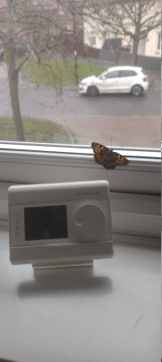 IMG_20260210_124812756_MP.jpg