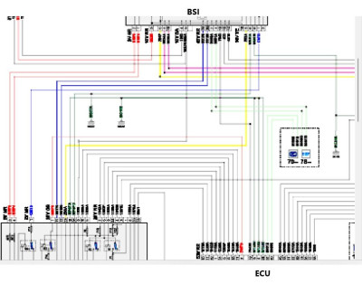 Modified from diagram above