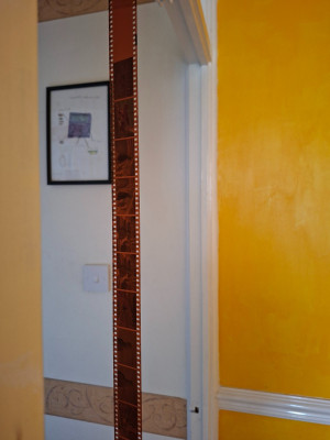 20260317_103559.jpg