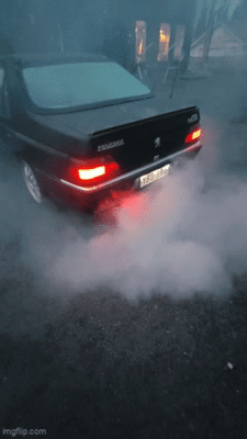 amxl87.gif