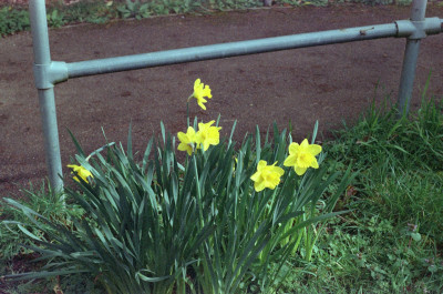 2026-03-19-0002.jpg