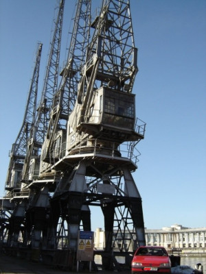 Bristol Cranes 2.JPG