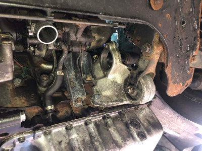 Skull's - Mounts/Supports fitted