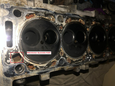 Skull's - HDi Cylinder head - blanked port