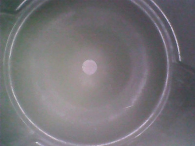 Skull's - view through fuel injector port