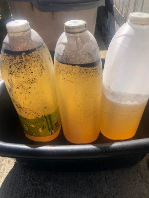 Skull's - Contaminated Coolant