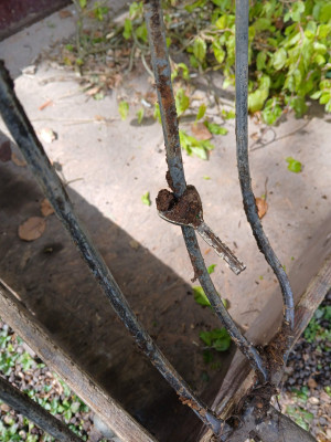 A once missing key - own work