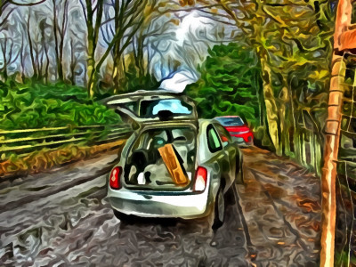 Micra wood.jpg