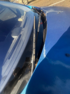 IMG_4439.jpeg