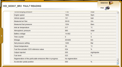 grey 308 27.05.2026 engine faults 13_075545~2.png