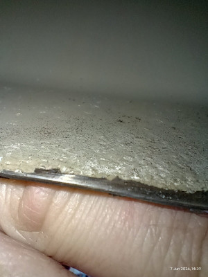 IMG_20260607_143935304_HDR.jpg