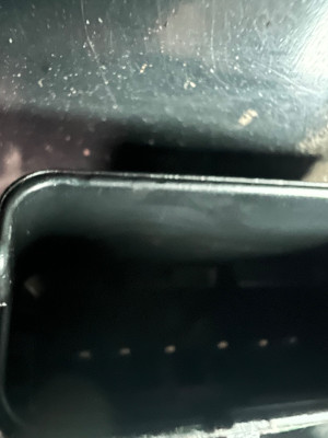 IMG_5951.jpeg