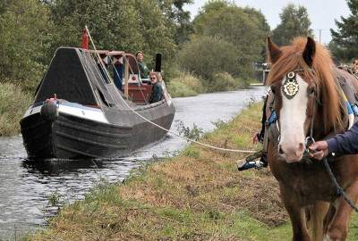 horse_pic_07-Enhanced.jpg