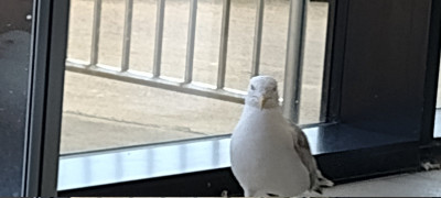 IMG_20260723_140506575_MP.jpg