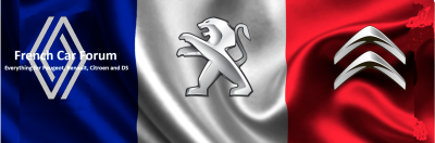 Banner mark 3.png