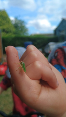 IMG-20260802-WA0007.jpeg