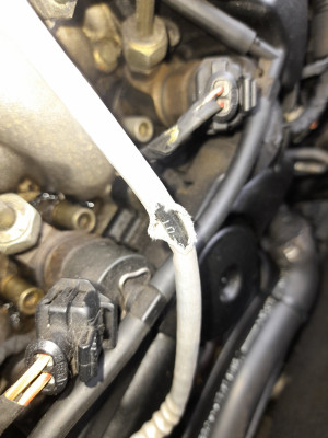 Hole worn in white protective heat sheath