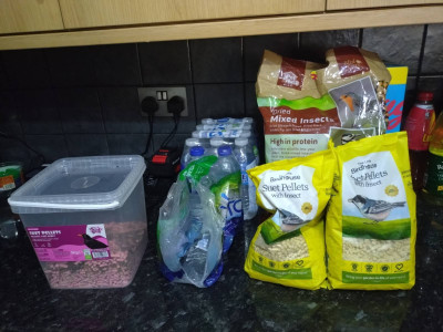 Supplies.jpg