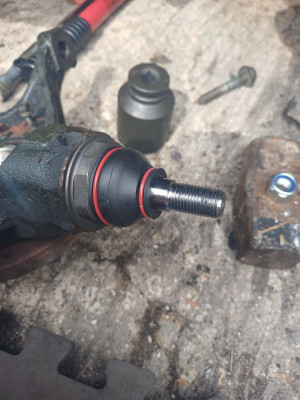 Nice new lower ball joint , the real deal .