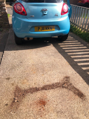 Skull’s - Ford KA