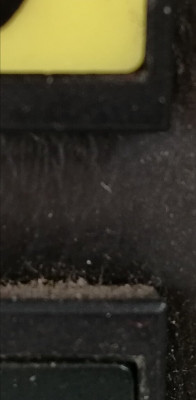 IMG_20180709_160010.jpg