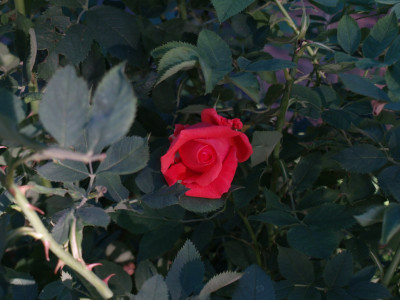 AA040083.JPG
