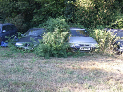 DSCF2629.JPG
