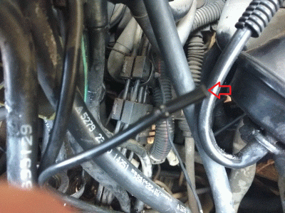 hose.gif