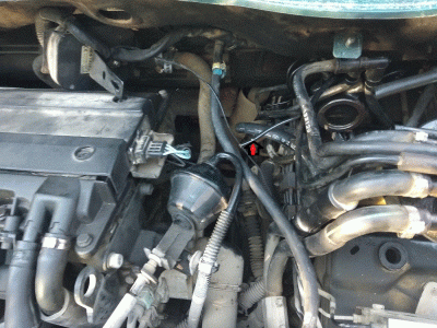 hose1.gif